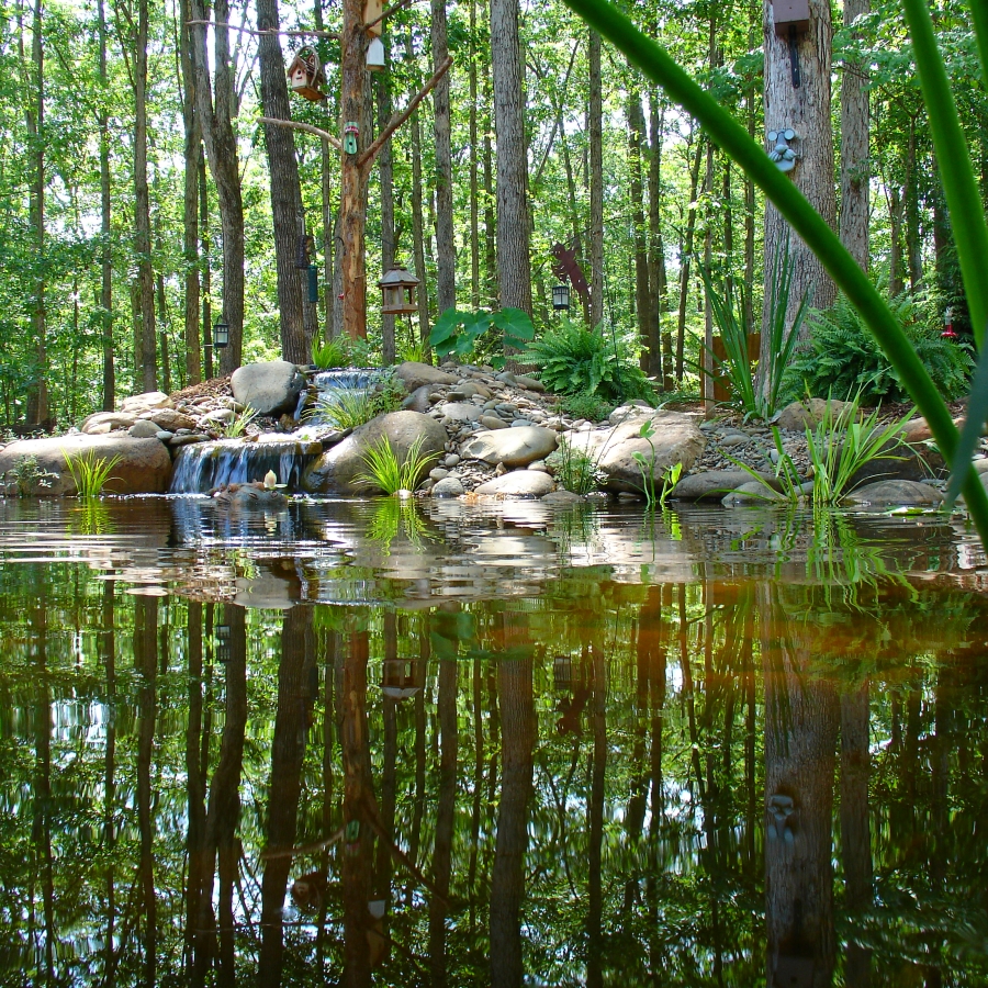 Technician inspecting irrigation lines in a residential landscape.