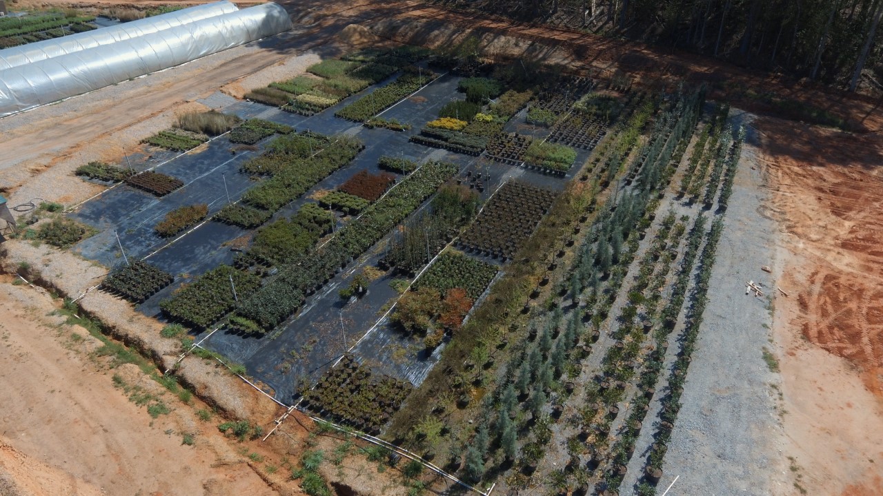 Outdoor nursery yard with trees, soil, and mulch varieties.